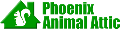 Phoenix Animal Attic